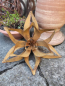 Preview: Edelrost Blume Rosemarie, offen