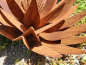 Preview: Edelrost Blume Theodora