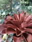 Preview: Edelrost Blume Valesca, klein