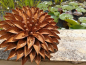 Preview: Edelrost Blume Volaria