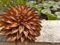Preview: Edelrost Blume Volaria