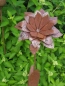 Preview: Edelrost Blume Vroni