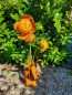 Preview: Edelrost Glasblume Mariska