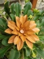 Preview: Edelrost Blumen-Set, 9-er