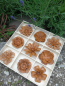 Preview: Edelrost Blumen-Set, 9-er
