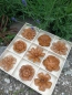Preview: Edelrost Blumen-Set, 9-er