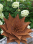 Preview: Edelrost Blume Angelika