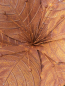 Preview: Edelrost Blume Malve