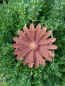 Preview: Edelrost Blume Margerite