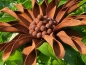 Preview: Edelrost Blume Ringelblume