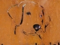 Preview: Edelrost Dekoschild Hund Hier wache ich