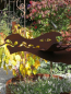 Preview: Edelrost Draco mit Holzbalken