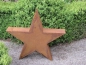 Preview: Edelrost Stern zum Stellen