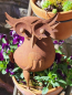 Preview: Edelrost Eule Nastasia, Kopf rechts