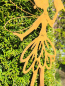 Preview: Edelrost Gartenstecker Fee Aurelia, mit Vogel