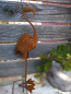 Preview: Edelrost Flamingo, 3D