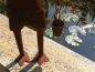 Preview: Edelrost Frosch mit Eimer