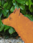 Preview: Edelrost Fuchs Attila, laufend