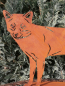 Preview: Edelrost Fuchs Socke