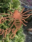 Preview: Edelrost Gartenstecker Bee Happy