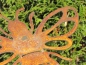 Preview: Edelrost Gartenstecker Biene Issa