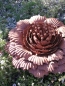 Preview: Edelrost Blume Ivy