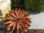 Preview: Edelrost Blume Aster
