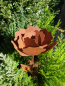 Preview: Edelrost Rose klein, gerade