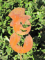 Preview: Edelrost Gartenstecker Schneemann