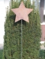 Preview: Edelrost Gartenstecker Stern geschlossen 180 x 40 cm