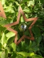 Preview: Edelrost Gartenstecker Stern mit Edelstahlkugel