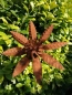 Preview: Edelrost Windrad Octaflower
