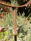 Preview: Edelrost Windrad Sonnenuhr