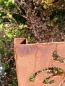 Preview: Edelrost Gartenstele Doppelranke Grace