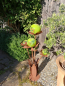 Preview: Edelrost Glasblume Blumenzauber, 165 cm