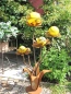 Preview: Edelrost Glasblume Blumenzauber, 120 cm