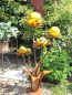 Preview: Edelrost Glasblume Blumenzauber, 165 cm gelb