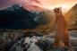 Preview: Edelrost Grizzly Olaf