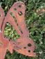 Preview: Edelrost Hase mit Schmetterling