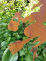 Preview: Edelrost Gartenstecker Hexe Waltraud, klein