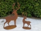 Preview: Edelrost Hirsch Leon