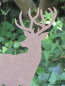 Preview: Edelrost Hirsch aufrecht stehend 38 cm