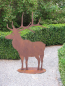 Preview: Edelrost Hirsch stehend geradeaus schauend