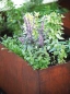 Preview: Edelrost Hochbeet aus Metall Preview: Edelrost Hochbeet aus Metall