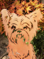 Preview: Edelrost Hund Bello