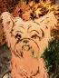 Preview: Edelrost Hund Bello