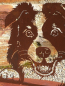 Preview: Edelrost Border Collie