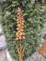 Preview: Edelrost Gartenstecker Hyazinthe, flach ausgeschnitten