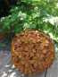 Preview: Edelrost Kugel Hortensie