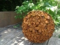 Preview: Edelrost Kugel Hortensie